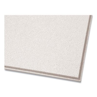 Dune Ceiling Tiles, Non-Directional, Beveled Tegular (0.56″), 24″ x 24″ x 0.63″, White, 16/Carton