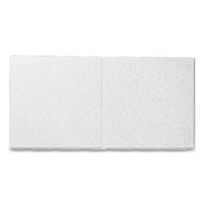 Fine Fissured Second Look Ceiling Tiles, Directional, Angled Tegular (0.94″), 24″ x 48″ x 0.75″, White, 10/Carton