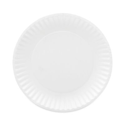 Coated Paper Plates, 9″ dia, White, 100/Pack, 12 Packs/Carton